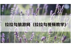 拉拉勾旅游网（拉拉勾视频教学）