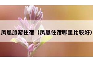凤凰旅游住宿（凤凰住宿哪里比较好）