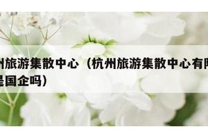 杭州旅游集散中心（杭州旅游集散中心有限公司是国企吗）