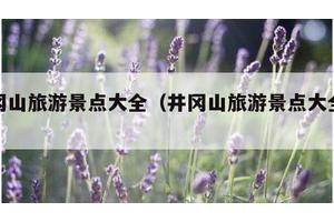 井冈山旅游景点大全（井冈山旅游景点大全天气）