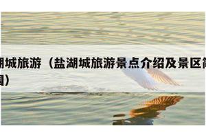 盐湖城旅游（盐湖城旅游景点介绍及景区简介美国）