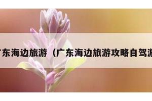 广东海边旅游（广东海边旅游攻略自驾游）
