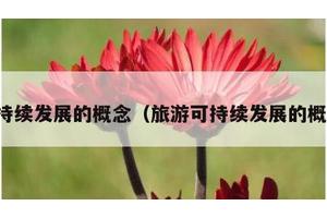 可持续发展的概念（旅游可持续发展的概念）
