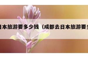去日本旅游要多少钱（成都去日本旅游要多少钱）