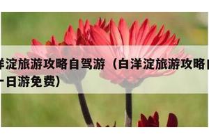 白洋淀旅游攻略自驾游（白洋淀旅游攻略自驾游一日游免费）