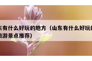 山东有什么好玩的地方（山东有什么好玩的地方旅游景点推荐）