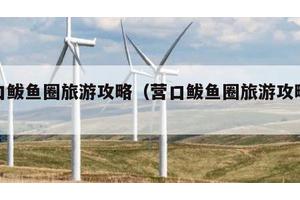 营口鲅鱼圈旅游攻略（营口鲅鱼圈旅游攻略路线）