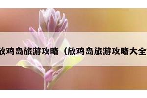 放鸡岛旅游攻略（放鸡岛旅游攻略大全）