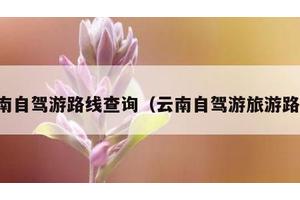 云南自驾游路线查询（云南自驾游旅游路线）