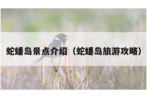 蛇蟠岛景点介绍（蛇蟠岛旅游攻略）