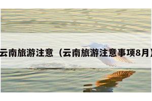 云南旅游注意（云南旅游注意事项8月）