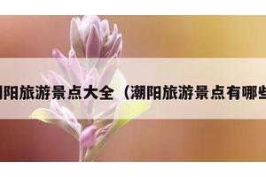 潮阳旅游景点大全（潮阳旅游景点有哪些）