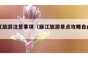 丽江旅游注意事项（丽江旅游景点攻略自由行）