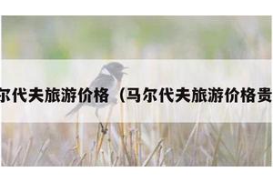 马尔代夫旅游价格（马尔代夫旅游价格贵吗）