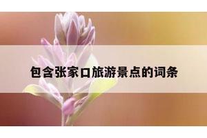包含张家口旅游景点的词条