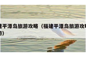 福建平潭岛旅游攻略（福建平潭岛旅游攻略一日游）