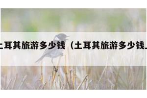 去土耳其旅游多少钱（土耳其旅游多少钱上海）