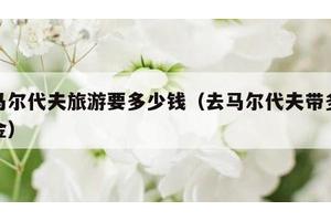 去马尔代夫旅游要多少钱（去马尔代夫带多少美金）