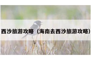 西沙旅游攻略（海南去西沙旅游攻略）