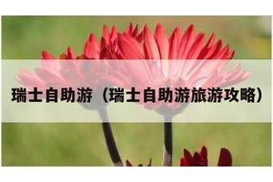 瑞士自助游（瑞士自助游旅游攻略）