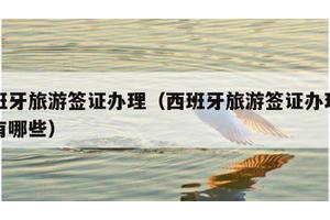 西班牙旅游签证办理（西班牙旅游签证办理公司有哪些）