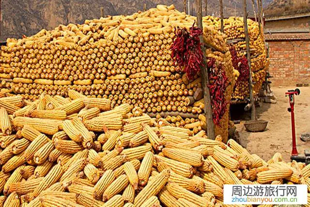 你觉得中秋假期适合去哪旅游？