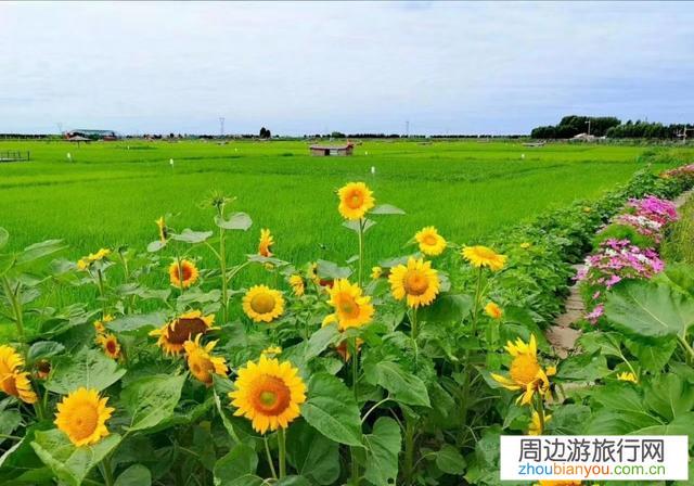 今年的旅游业和餐饮业是否最难做?你有什么好的办法?