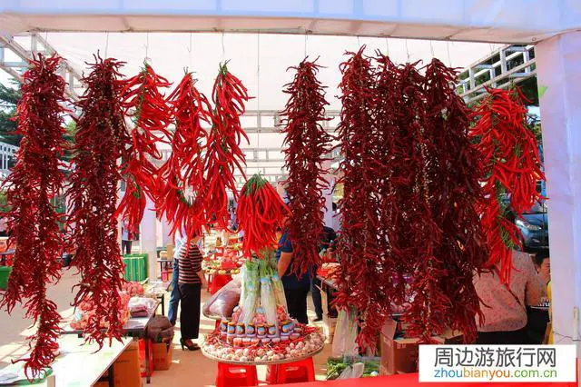 为什么旅游的没有农民，或很少看到农民？