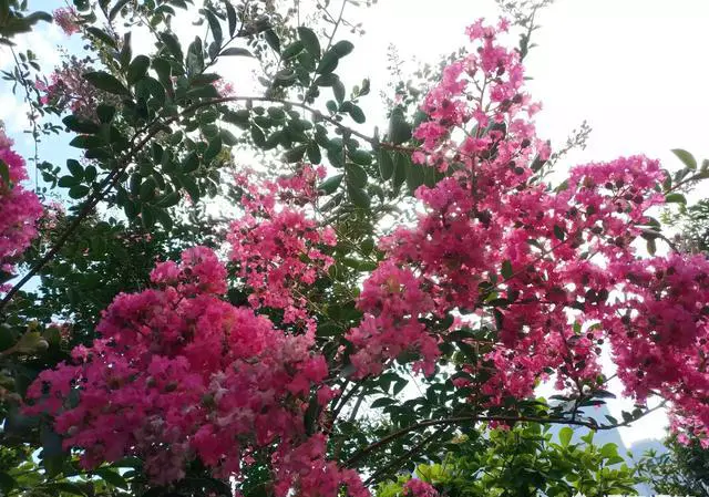 如果只是旅游，云南和贵州你更愿意选择哪里？