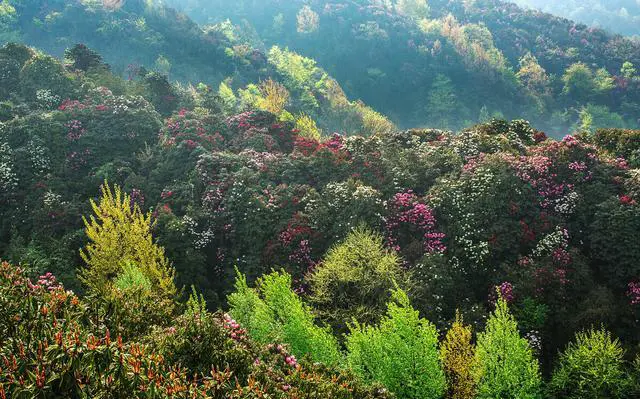 4至5月适合去哪里踏春旅游?