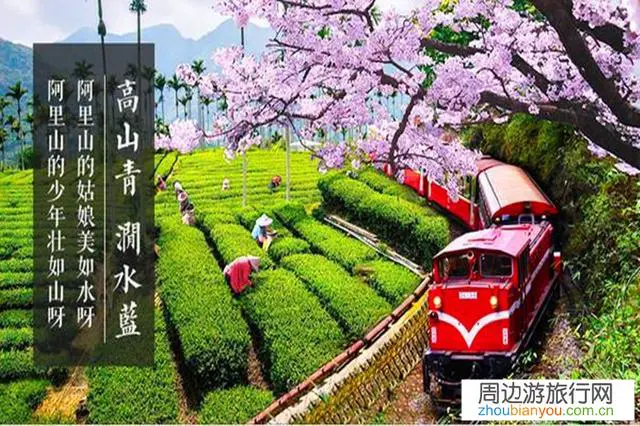什么时候能到弯弯自由行呢？