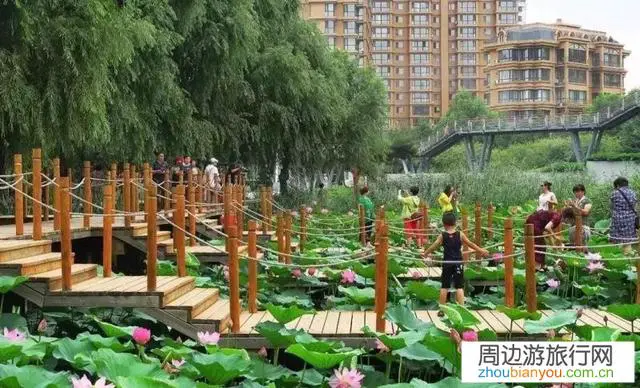 刚上班，没啥钱，也没啥事。有没有哈尔滨旅游攻略？