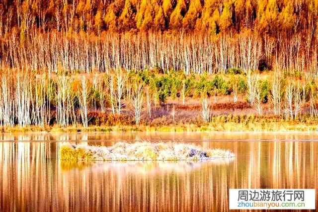 如果有一次到东北免费旅游，你最想做什么？