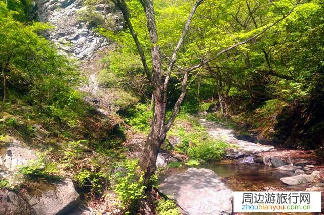 某旅行者在山区迷路，当它发现小溪一直沿着小溪走，为什么？