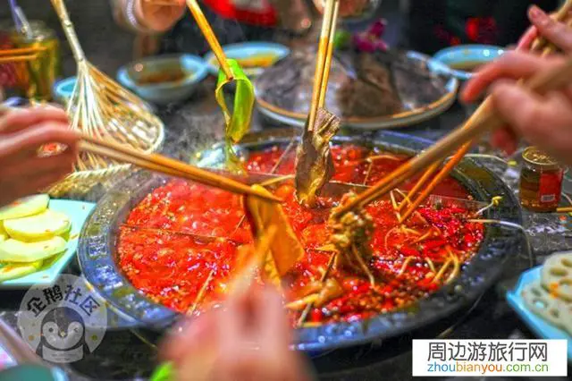 目前新型病毒形势下，你会选择春节出门游玩嘛？会出门的你去哪？