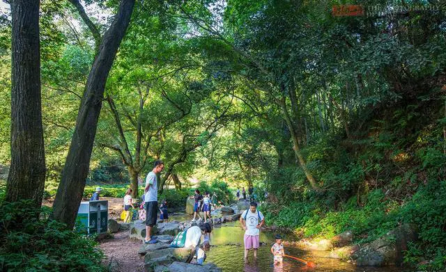 暑假带孩子去杭州，有什么地方推荐？