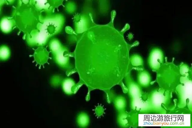 马上过年了,发现新型冠状病毒,出门旅游安全吗?