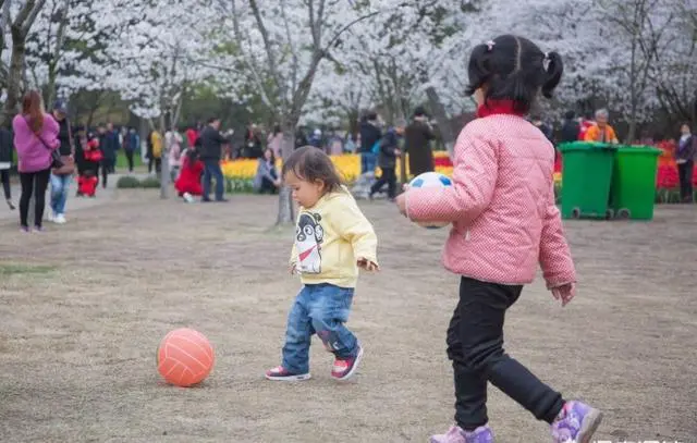 杭州太子湾公园好玩吗?