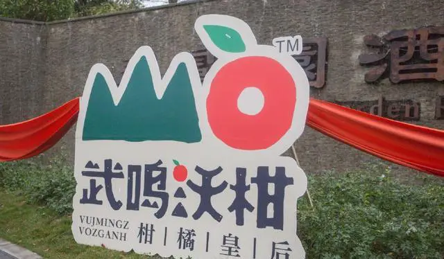 你觉得南宁怎么样？