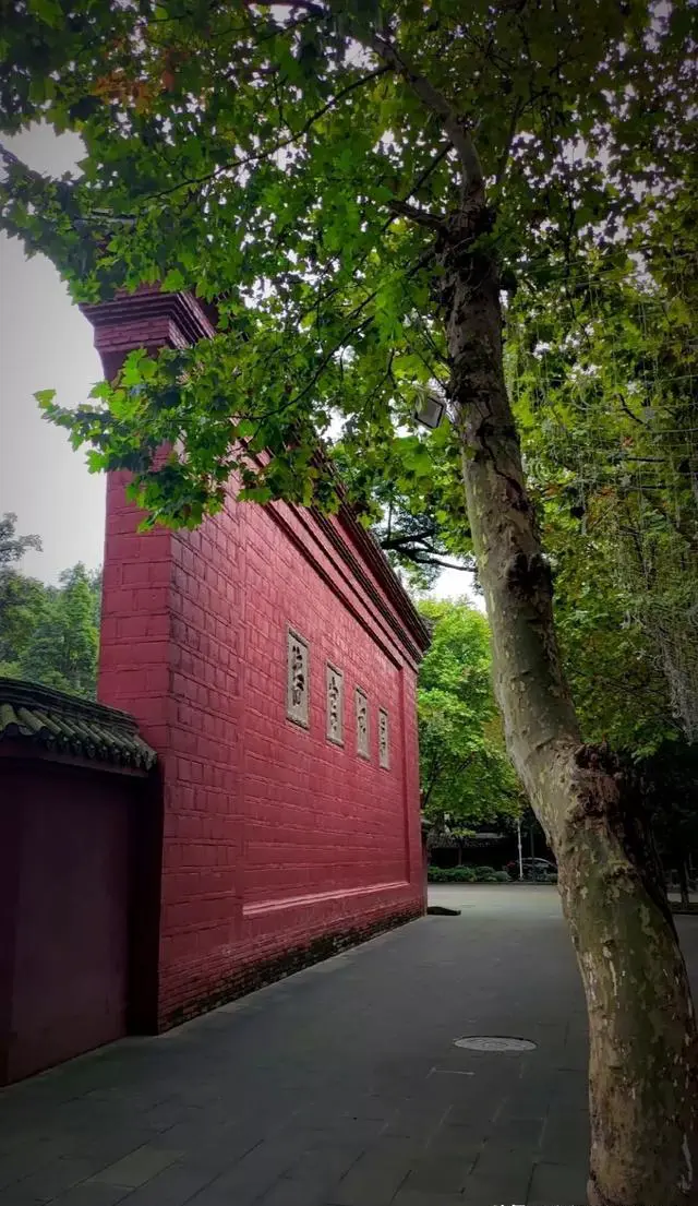 你周末假期都会去哪玩？