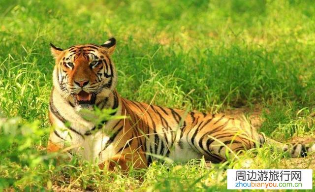 现在出去旅游需要注意些什么啊？哪里比较凉快啊？