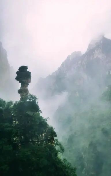 周末想去散心，保定周边有什么不错的地方推荐？