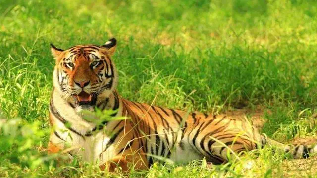 湖南理科女，想去哈尔滨工程大学，父母因为又远又冷天气干燥严厉反对，我该怎么说服他们？