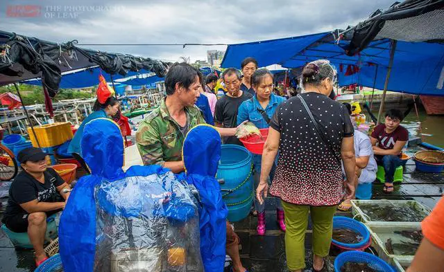 老两口穷游海南，有哪些好的建议参考？
