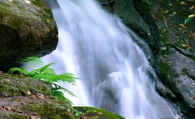 雾灵山风景区在哪里?雾灵山有什么好玩的地方?