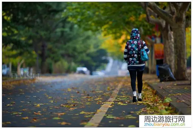 为什么越来越多的人选择徒步呢?那么辛苦的事情为什么还要坚持?