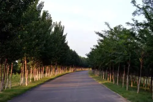 天津周末周边游目的地，周末必须安排！