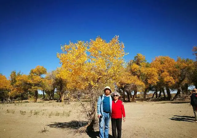 口罩过后,你会带父母一起出去旅游吗?想去哪里?