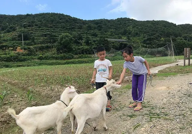 中秋想带一岁半宝宝出去玩，哪些有海鲜的地方比较好？