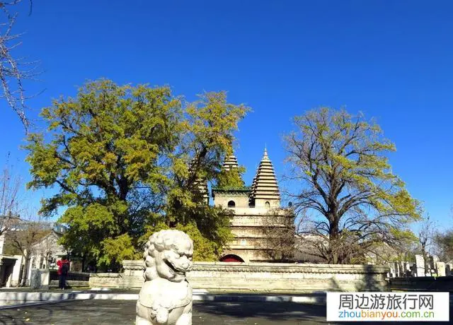 呼和浩特这个城市怎么样？